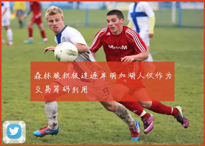 森林狼积极追逐库明加湖人仅作为交易筹码利用