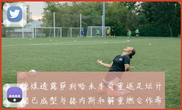 德媒透露萨利哈米季奇重返足坛计划已成型与赫内斯和解重燃合作希望