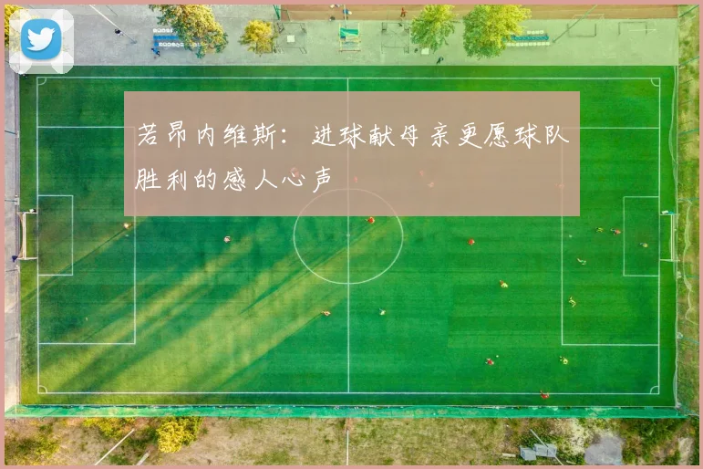 若昂内维斯：进球献母亲更愿球队胜利的感人心声